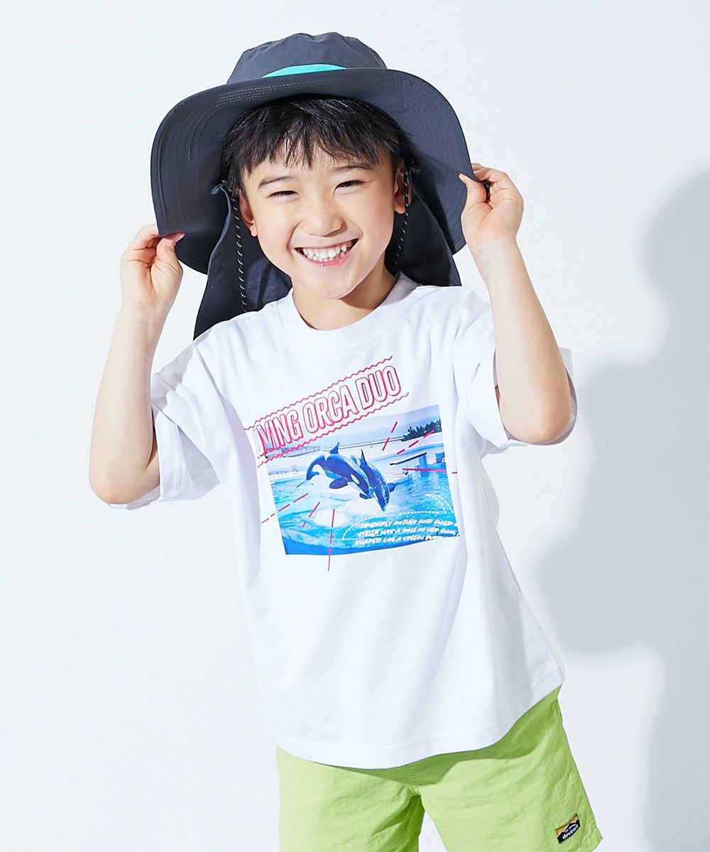 68%OFF】【神戸須磨シーワールドコラボ】色が変わるマジックプリント