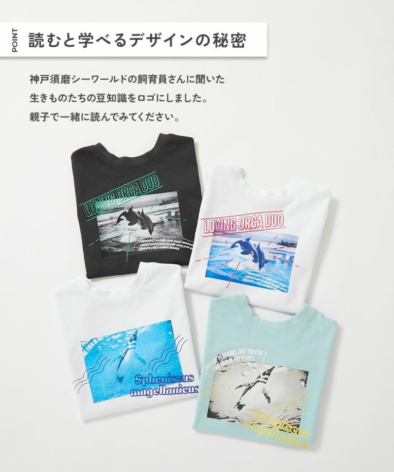 50%OFF】【神戸須磨シーワールドコラボ】色が変わるマジック