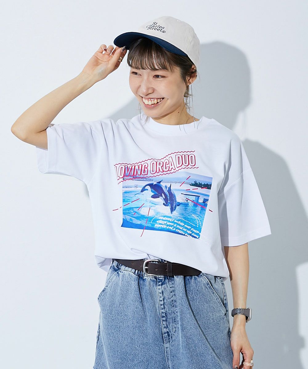 50%OFF】【神戸須磨シーワールドコラボ】色が変わるマジックプリント