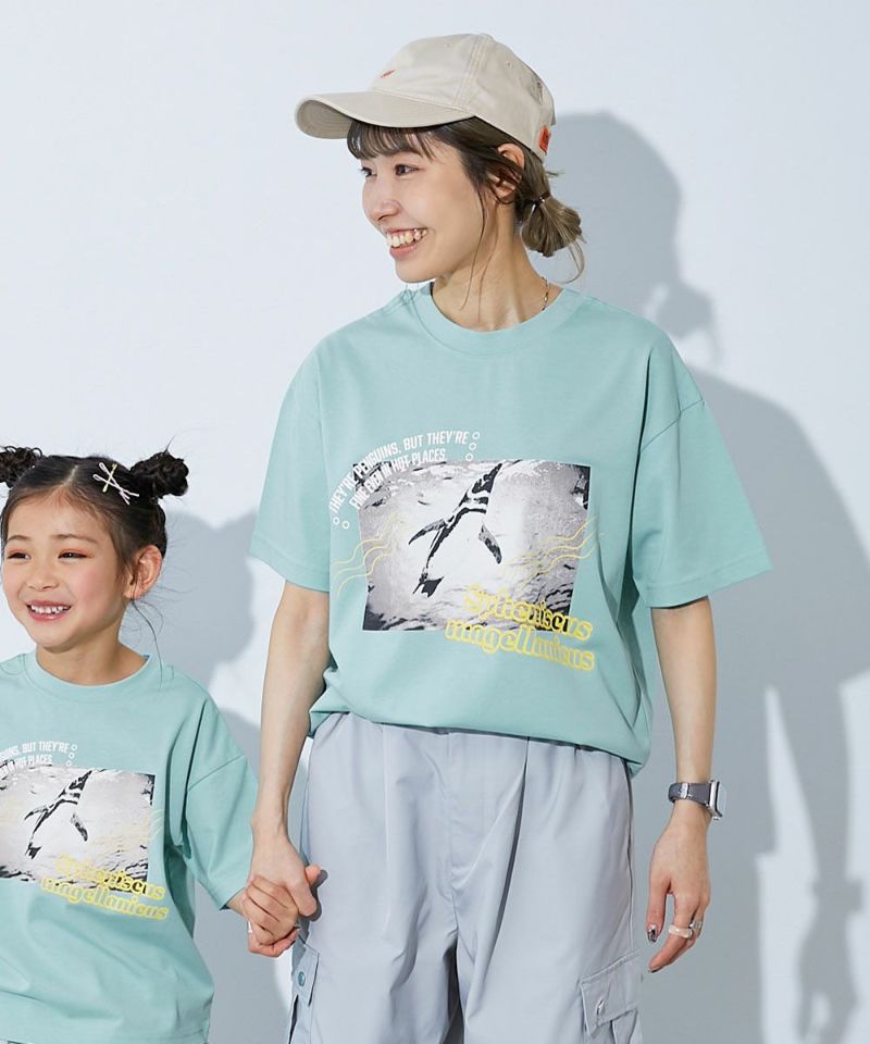 50%OFF】【神戸須磨シーワールドコラボ】色が変わるマジック